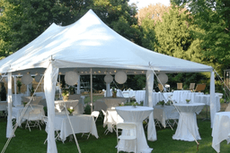 Tent, 20 x 30 Peak Marquee